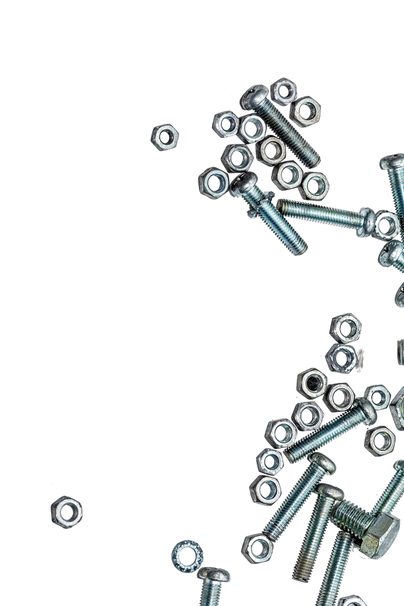screws
